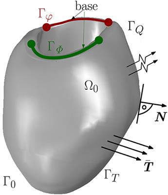 Interaction of the Mechano-Electrical Feedback With Passive Mechanical Models on a 3D Rat Left Ventricle: A Computational Study